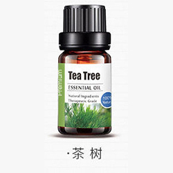 茶树精油