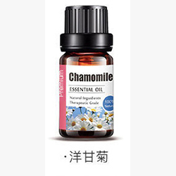 洋甘菊精油
